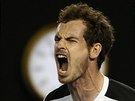 EV FINALISTY. Britsk tenista Andy Murray prov semifinle Australian Open,...