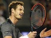 Andy Murray se zlob v utkn s Bernardem Tomicem.