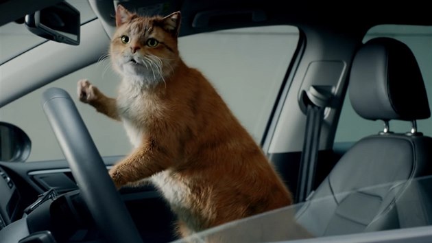 VIDEO: Šílená reklama Volkswagenu ukazuje lidi jako kočky - iDNES.cz