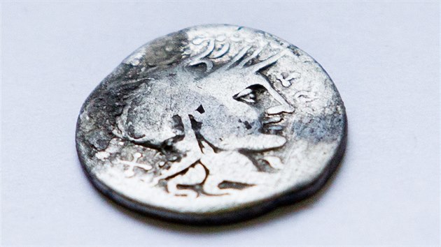 Archeologov nali nali na Hradecku vzcn stbrn msk mince (22.1.2016).