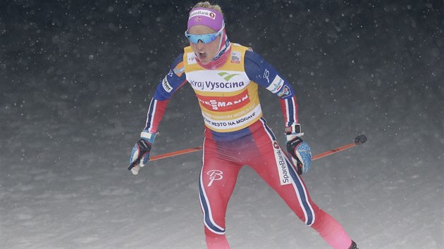 Norsk bkyn na lych Therese Johaugov na trati zvodu na 10 kilometr volnou technikou v Novm Mst na Morav.