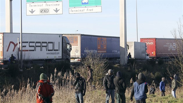 Obyvatel uprchlickho tbora v Calais se sna dostat do kamion mcch do Anglie (24. ledna 2016).