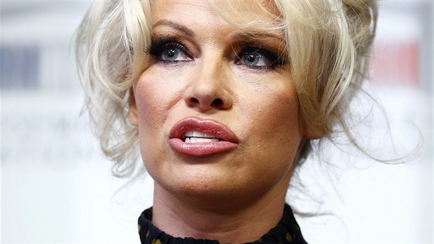 Pamela Andersonov vystoupila ve francouzskm parlamentu. (Pa, 19. ledna 2016)