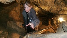 U Chýnova je jediná zpřístupněná jeskyně v Jihočeském kraji. U Chýnova je jediná zpřístupněná jeskyně v Jihočeském kraji.