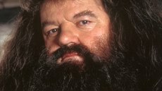 Nechat si je růst, nebo holit? Hagrid a hipsteři mají o vousech jasno. Nechat si je růst, nebo holit? Hagrid a hipsteři mají o vousech jasno.