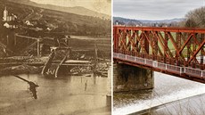 Mokropsy - článková Mokropsy - článková