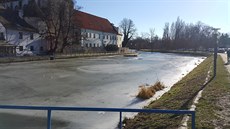 Souasná podoba nábeí u slepého ramene Male.