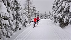 Běžkařské trasy v Jizerkách jsou naprosto ideální. Běžkařské trasy v Jizerkách jsou naprosto ideální.