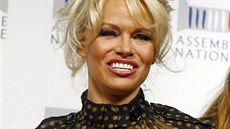 Pamela Andersonová ve francouzském Národním shromádní, dolní komoe...