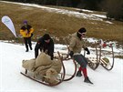 Zvody na sanch rohakch v Mal p na Trutnovsku.