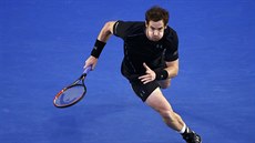 SPRINT. Andy Murray dobíhá míek v utkání s Novakem Djokoviem.