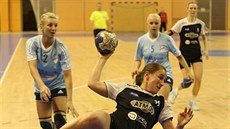 Momentka z interligového zápasu Plzeň - Veselí Momentka z interligového zápasu Plzeň - Veselí
