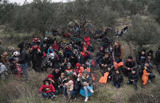 Uprchlíci na eckém ostrov Lesbos (30. ledna 2016)