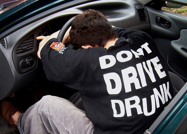 Alkohol za volantem (ilustraní foto)
