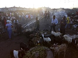 Haiti, trh, jatka