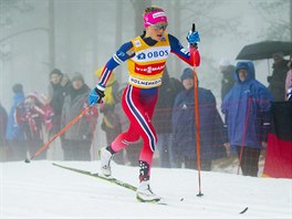 Therese Johaugov v zvodu na 30 kilometr klasicky v Oslu.