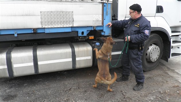 Tabk v kamionu odhalil policejn pes Don.