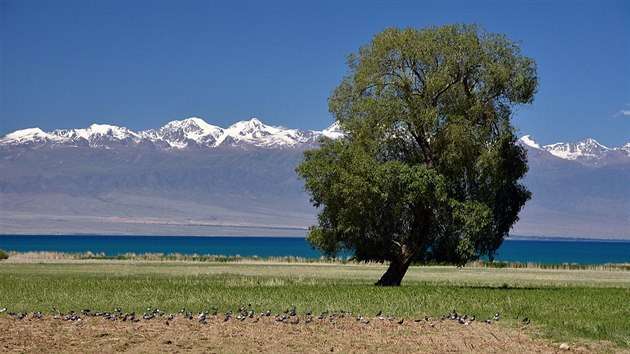 Jezero Issyk-kul