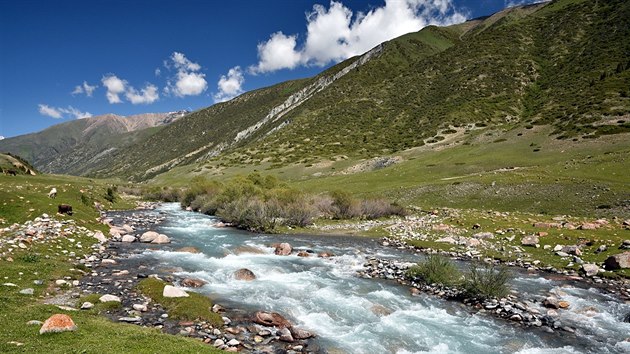 Krajina v horch severn od jezera Issyk-kul