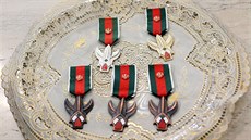 Medaile vítzství je jedním z nejvyích íránských vyznamenání (31. ledna 2016)