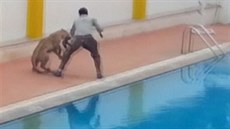 Leopard se procházel školou a napadl muže. Leopard se procházel školou a napadl muže.