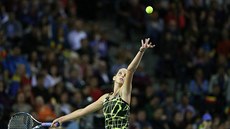 Karolína Plíková podává proti Simon Halepové v duelu 1. kola Fed Cupu.