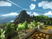 The Witness The Witness
