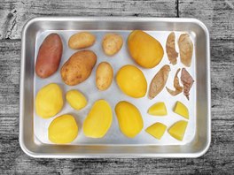 Porovnn rznch typ brambor podle sezony, ve kter jsou k dostn