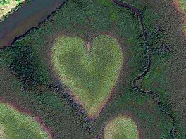Coeur or Heart of Voh, Nová Kaledonie. Na snímku mangrovníkový moál ve tvaru...