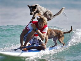 KYNOSURFING. Australan Chris de Aboitiz spojil své dv ván - trénink ps a...