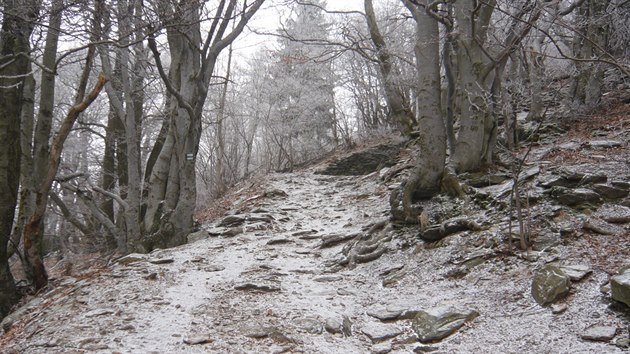 V horní ásti hory zaal padat sníh. Na stromech se vytvoila námraza. Ta se...