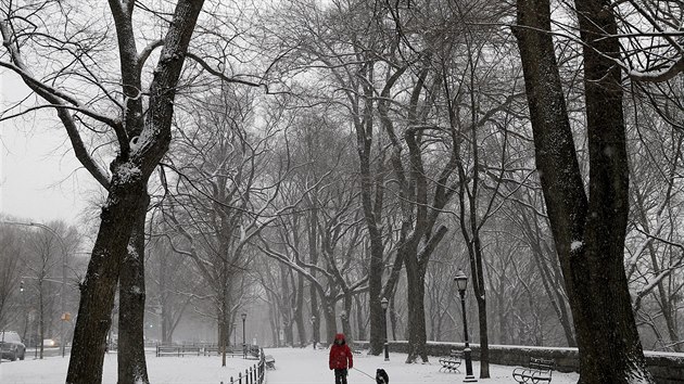 Zasnen park v New Yorku (15. nor 2016)