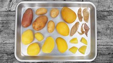 Porovnání rzných typ brambor podle sezony, ve které jsou k dostání