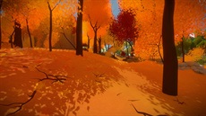 The Witness The Witness
