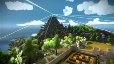 The Witness The Witness