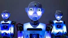 Umlá inteligence podle vdc za nedlouho ovládne lidský pracovní trh. Na snímku je robotický recepní v japonském hotelu.