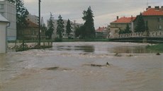 Olomouc mla pi povodních v roce 1997 silného spojence  luní lesy u Litovle dokázaly záplavy zpomalit, tvrdí Michal Krejí, který tehdy pracoval na Správ CHKO Litovelské Pomoraví.