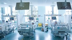 Jednotka intenzivní péče hradecké fakultní nemocnice, kde lékaři zachraňují... Jednotka intenzivní péče hradecké fakultní nemocnice, kde lékaři zachraňují...