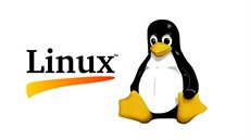 Linux Linux