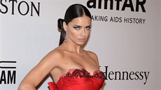 Adriana Lima na amfAR Gala (New York, 10. února 2016)