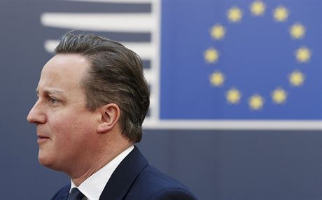 Britský premiér David Cameron ped vlajkou EU. (20. února 2016)