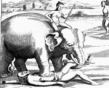 Sloni se dali vycviit k sofistikovaným zpsobm zabíjení, pomalým a trýznivým.