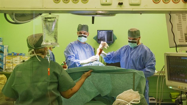 Zrekonstruované chirurgické oddělení Fakultní nemocnice v Plzni na Borech. (22.... Zrekonstruované chirurgické oddělení Fakultní nemocnice v Plzni na Borech. (22....