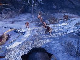 Far Cry Primal