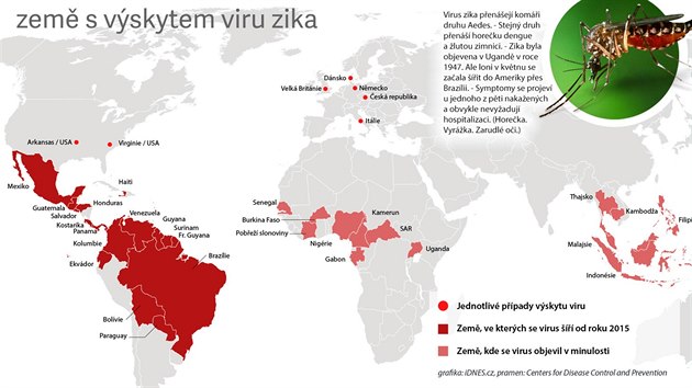 en viru zika