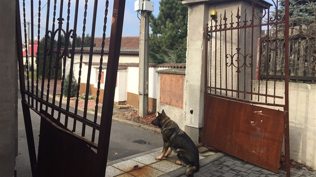 Ped polici zlodji ujdli skrz soukromou zahradu, kde havarovali. Pokodili u toho historickou brnu z roku 1878 (25.2.2016)