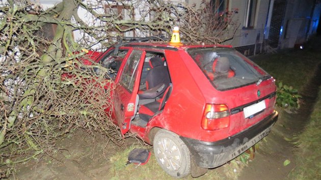 Mlad idi vezouc tyi cestujc dostal na Prostjovsku smyk a vyjel mimo silnici, kde perazil strom a narazil do zdi domu.