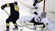 Marc-Andre Fleury v brance Pittsburghu zasahuje ped útoníkem Bostonu Davidem...