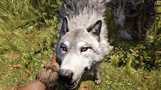 Far Cry Primal Far Cry Primal