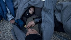 U pechodu Idomeni mezi eckem a Makedonií nyní eká asi 6 500 uprchlík....